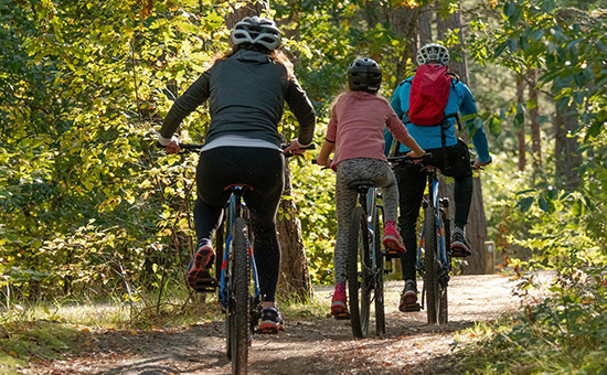 Radfahren im Pfälzer Wald